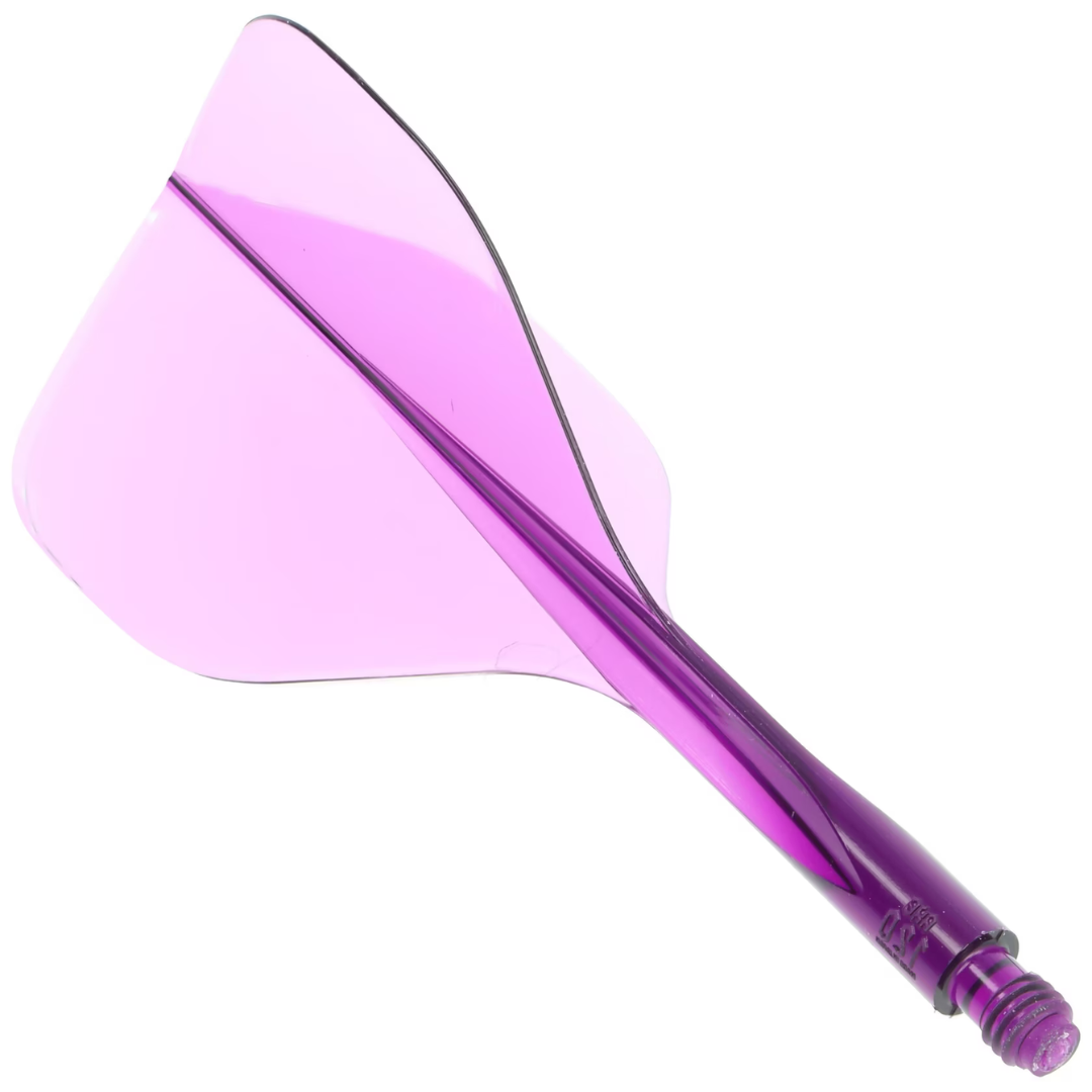  Condor AXE 120 Flight System Standard - Lila