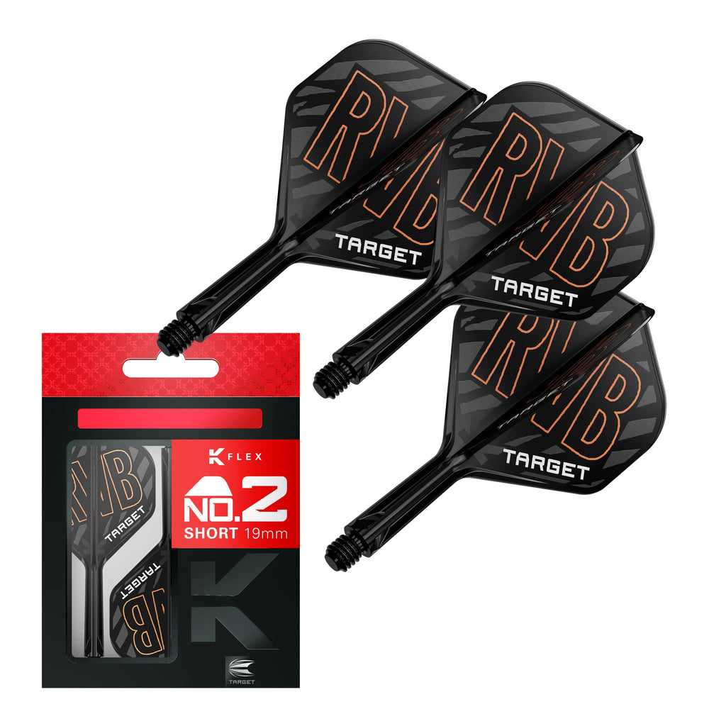  Target K-Flex Flight / Shaft System NO2 - Raymond Van Barneveld