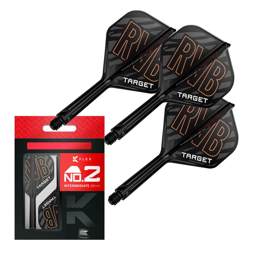  Target K-Flex Flight / Shaft System NO2 - Raymond Van Barneveld