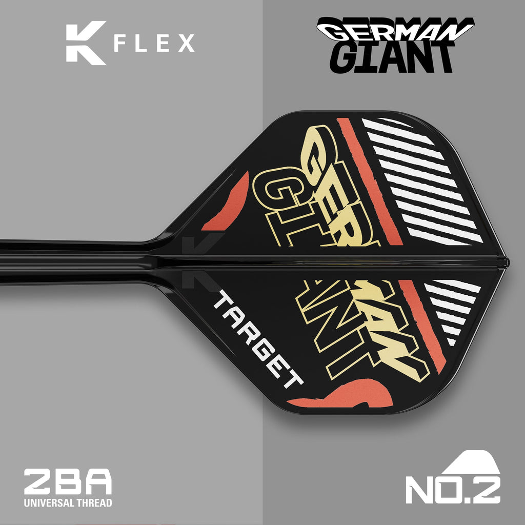 Target K-Flex Flight / Shaft System NO2 - Gabriel Clemens