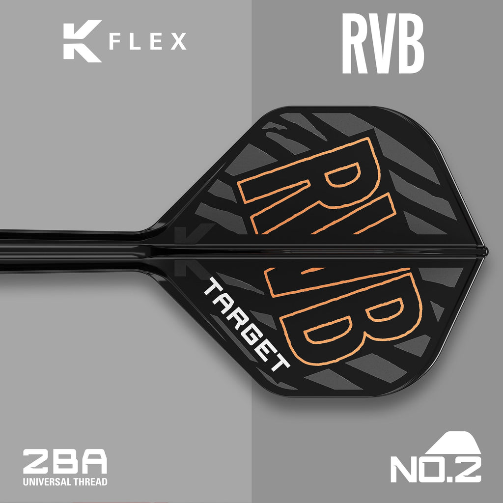  Target K-Flex Flight / Shaft System NO2 - Raymond Van Barneveld