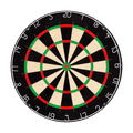  Winmau NPQ Dartboard