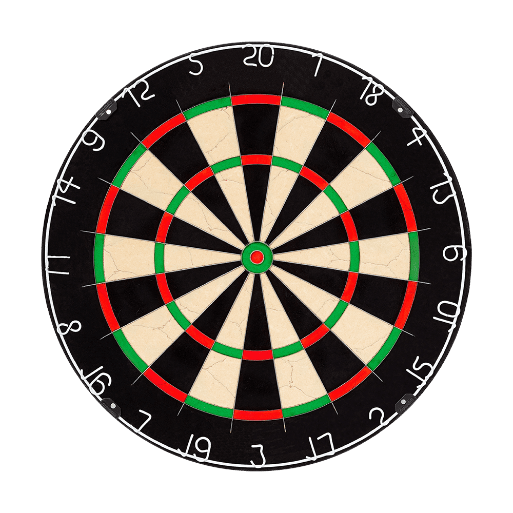  Winmau NPQ Dartboard