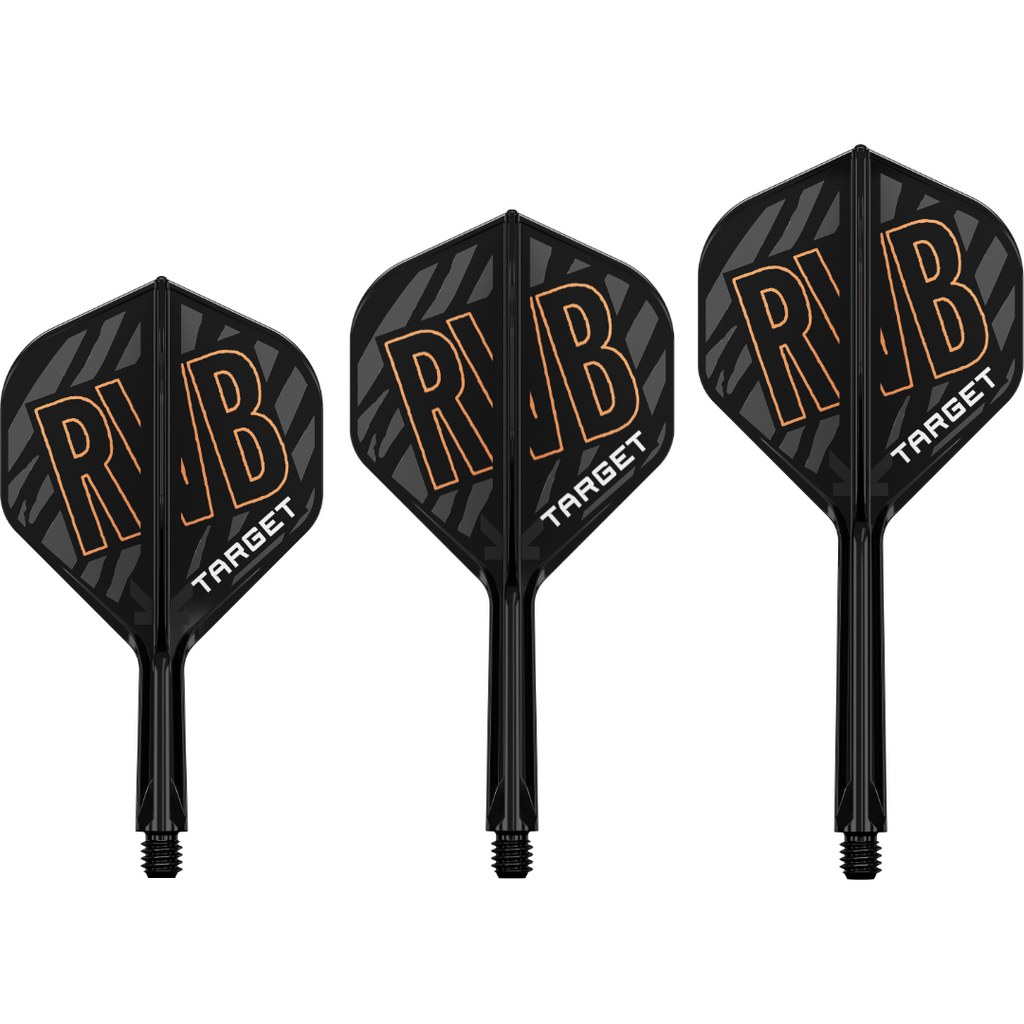  Target K-Flex Flight / Shaft System NO2 - Raymond Van Barneveld